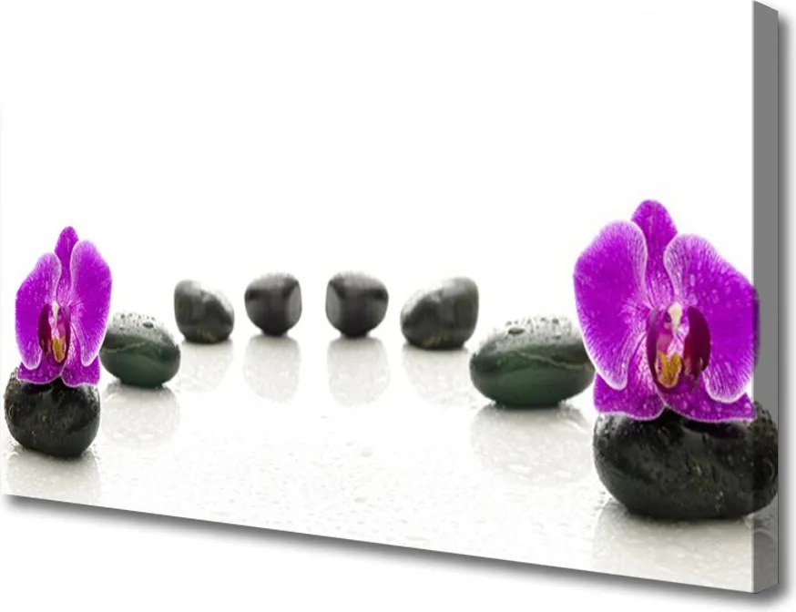 Zdjęcie na płótnie Storczyk na Gładkich Kamieniach