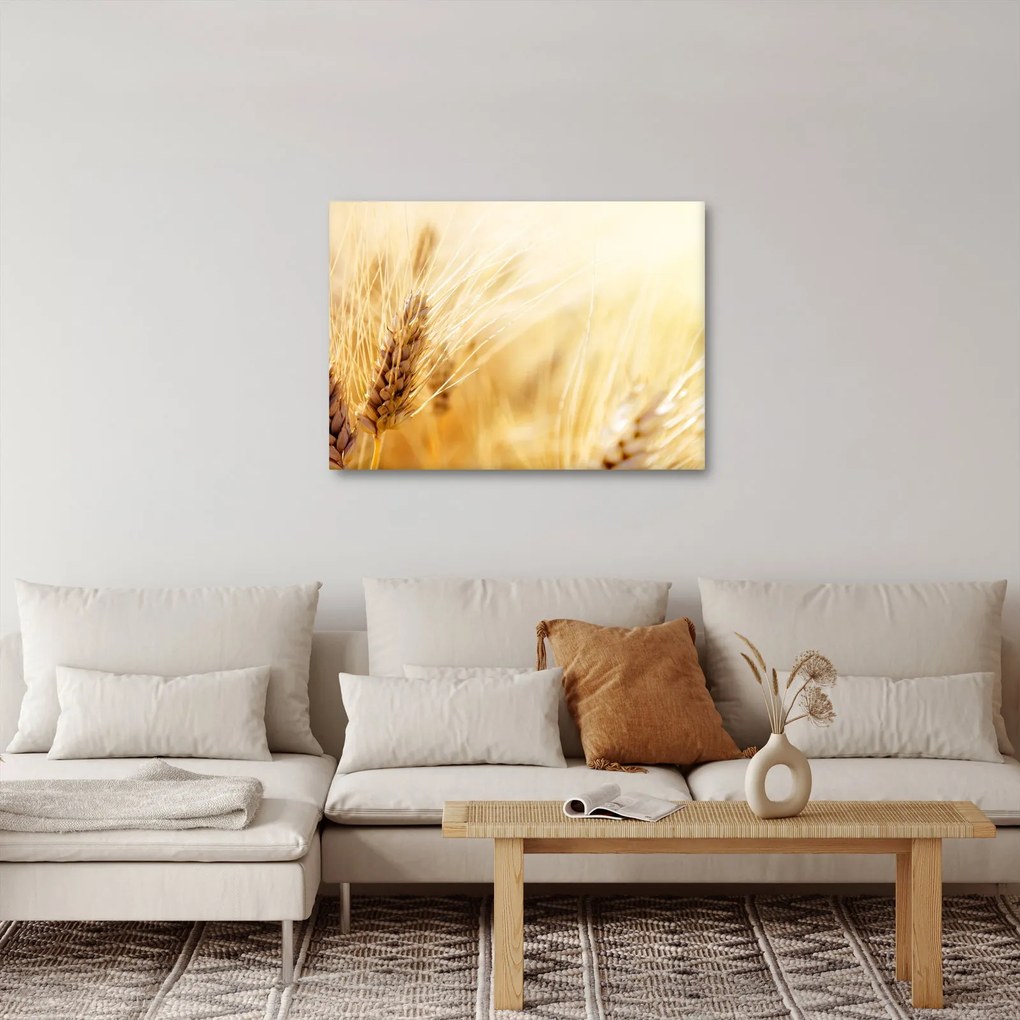 Obraz - szczegóły ziarna (70x50 cm)