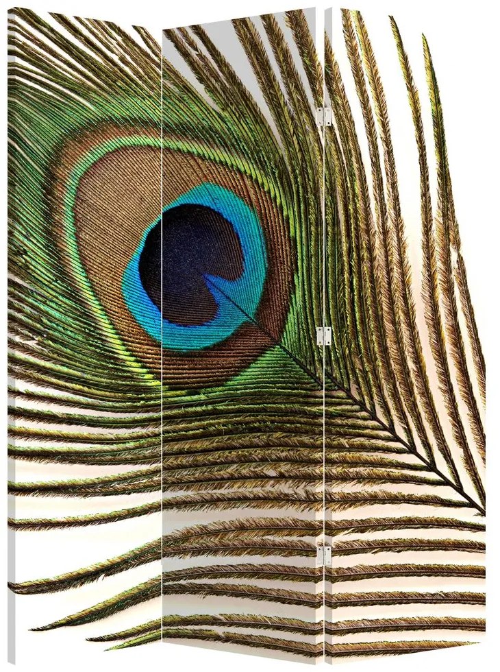Parawan - Pawie pióra (126x170 cm)