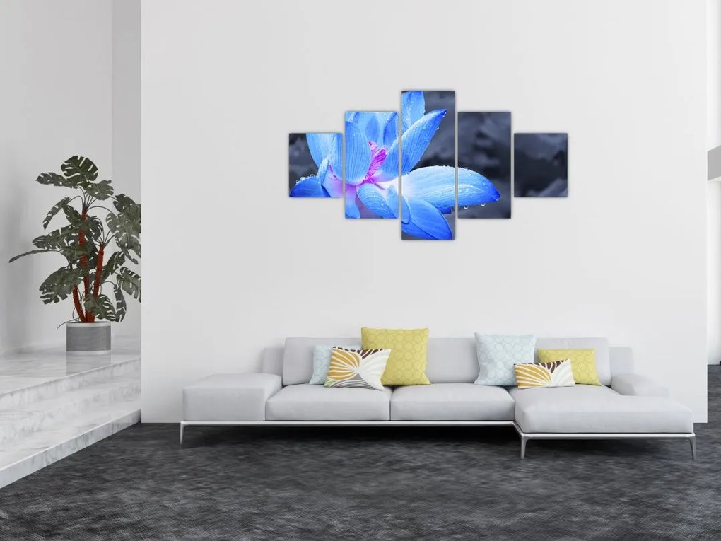 Obraz szczegółu kwiatu (125x70 cm)
