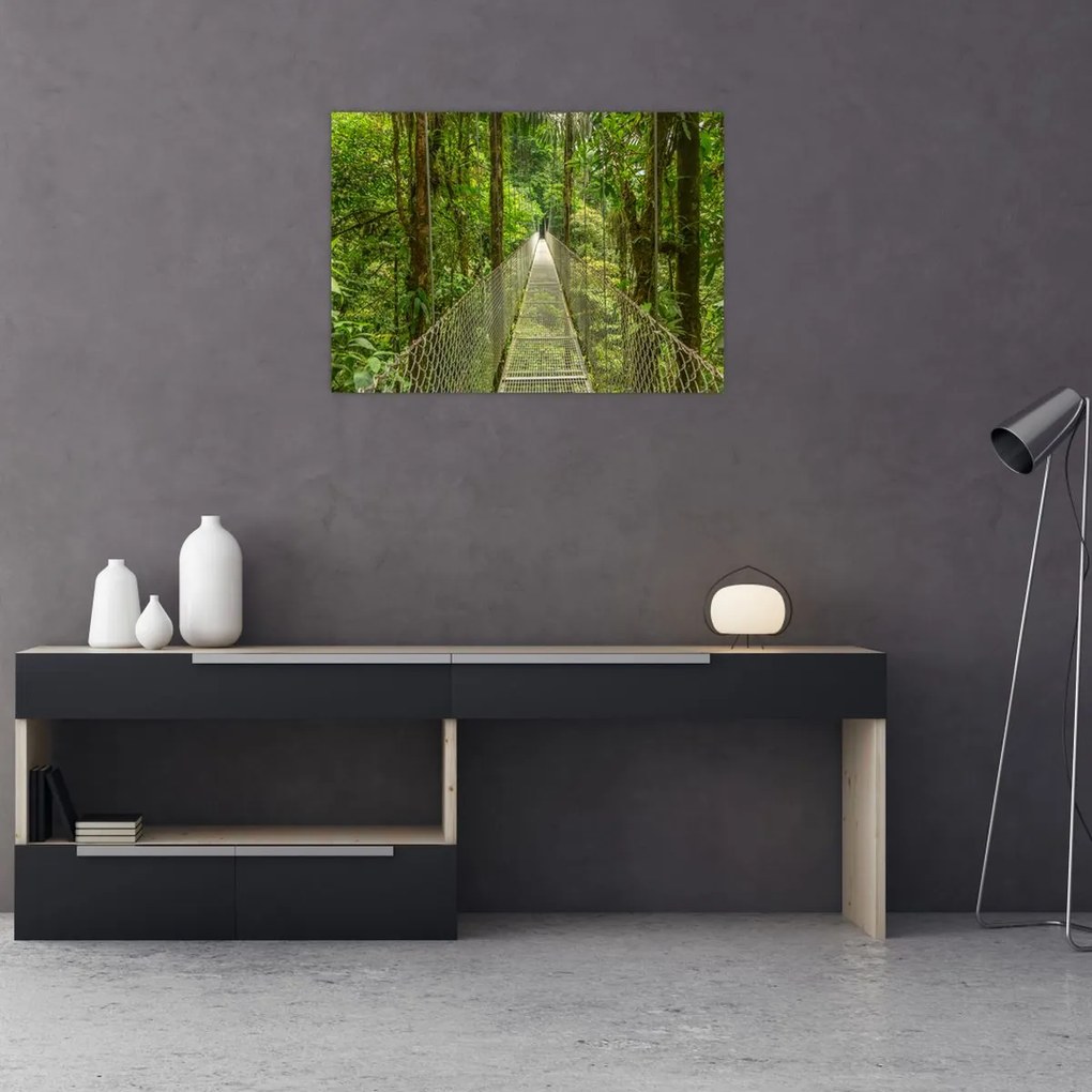 Obraz - Most wiszący (70x50 cm)