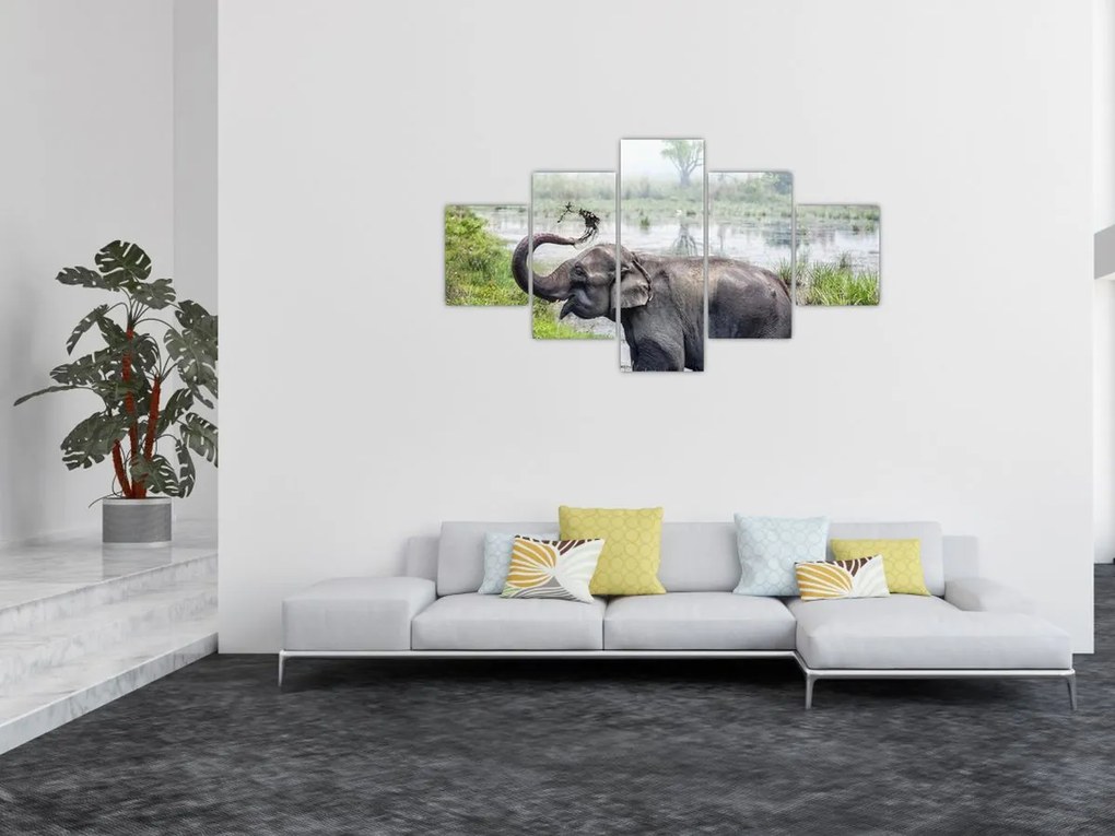 Obraz - Kąpiący się słoń (125x70 cm)