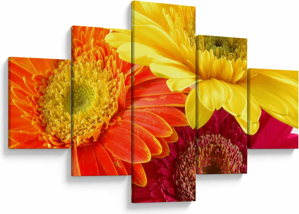 Obraz - Kwiaty Gerbery (125x70 cm)