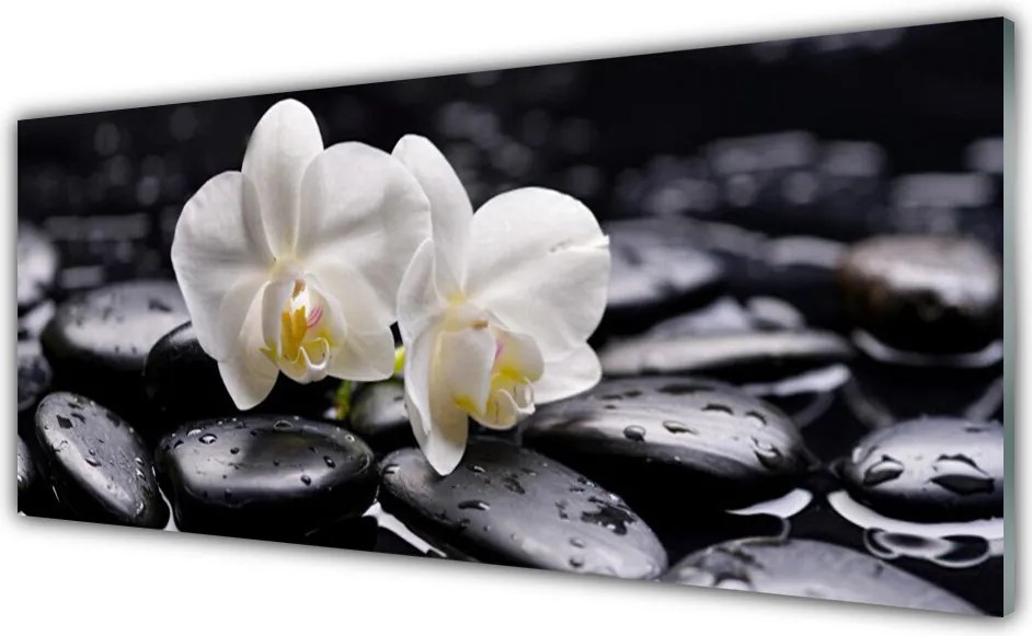 Panel Szklany do Kuchni Biały Storczyk w Klimacie Zen