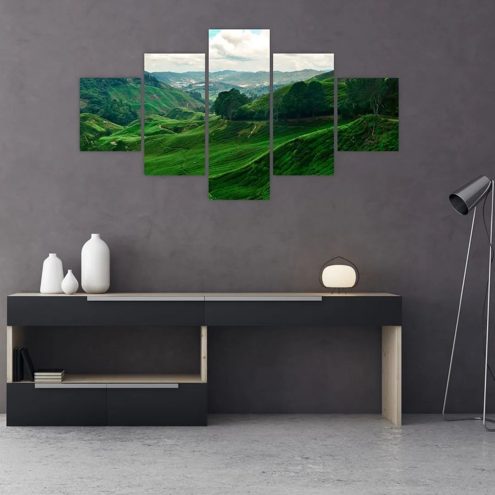 Obraz - Plantacje herbaty w Malezji (125x70 cm)