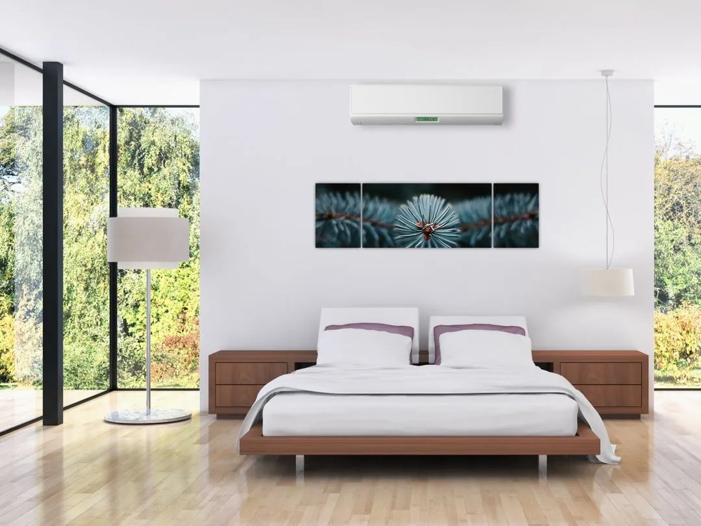 Obraz gałązki drzewa iglastego (170x50 cm)