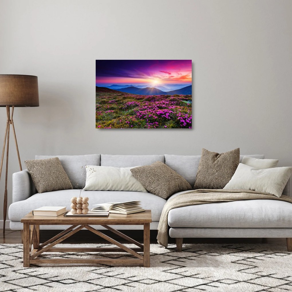 Obraz na szkle - Krajobraz kwitnących gór (70x50 cm)