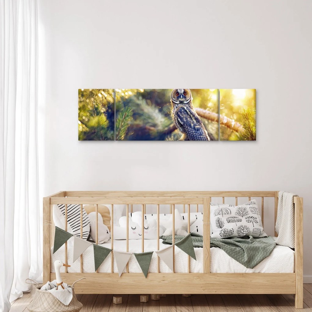 Obraz sowy na drzewie (170x50 cm)
