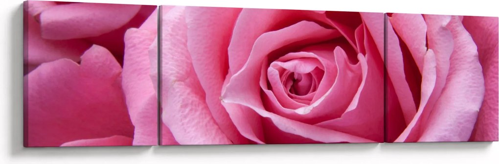 Obraz róży (170x50 cm)