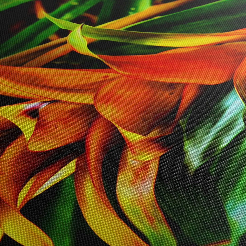 Obraz pomarańczowego kwiatu (170x50 cm)