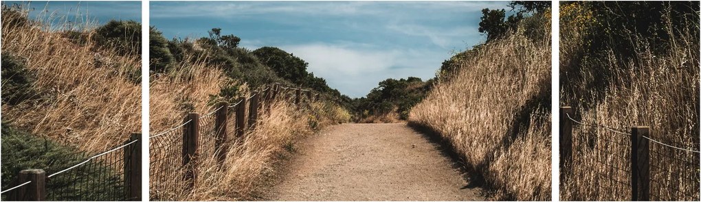 Obraz - Na szlaku (170x50 cm)