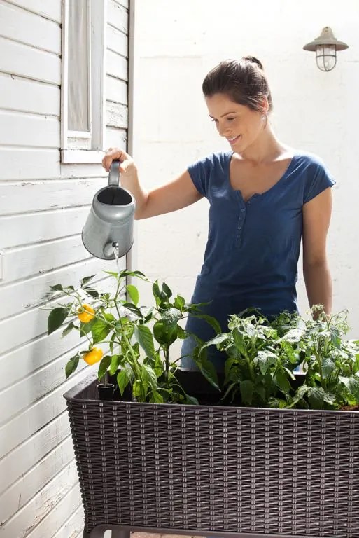 Doniczka EASY GROW - brązowy