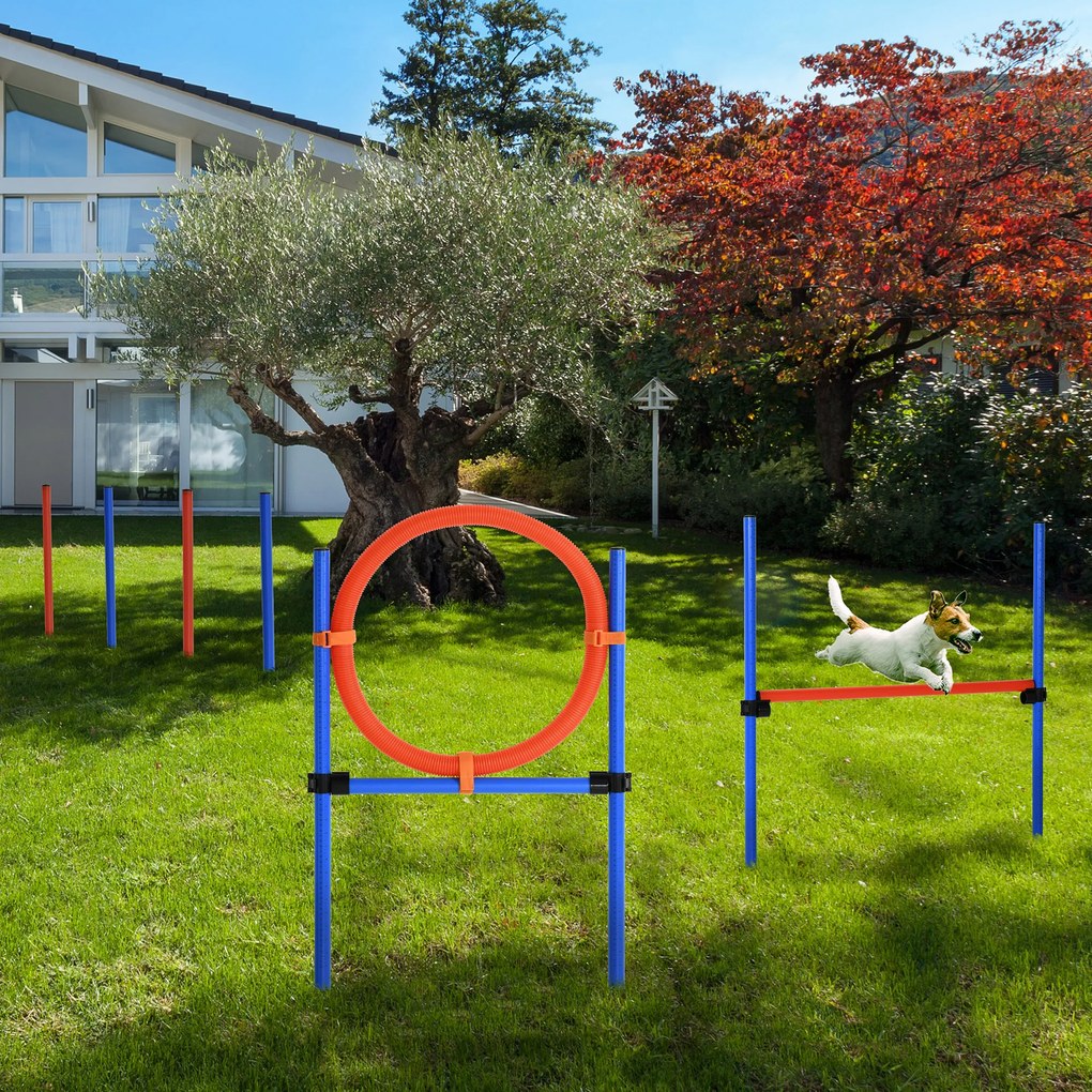 PawHut Zestaw Agility dla Psów Slalom i Obręcz Treningowa Zabawa i Ćwiczenia Wysokość 86cm Niebieski Czerwony | Aosom PL