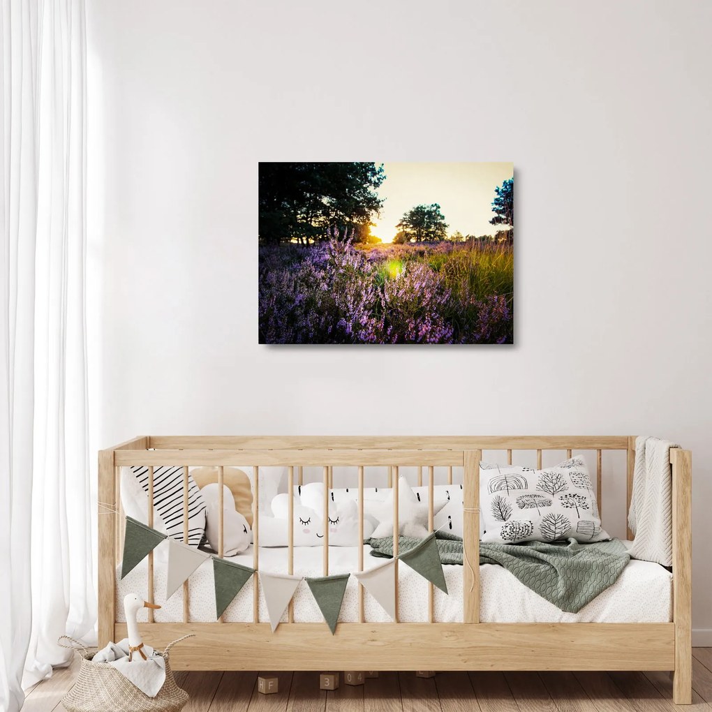 Obraz na szkle pola lawendy (70x50 cm)