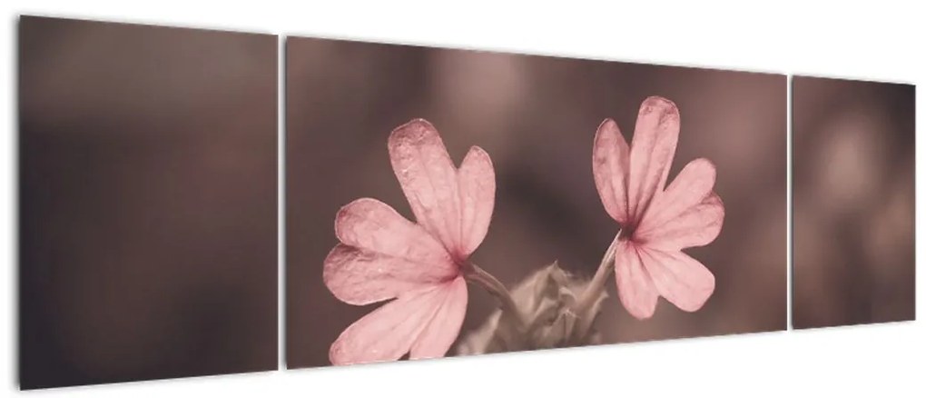 Obraz kwiatu róży (170x50 cm)