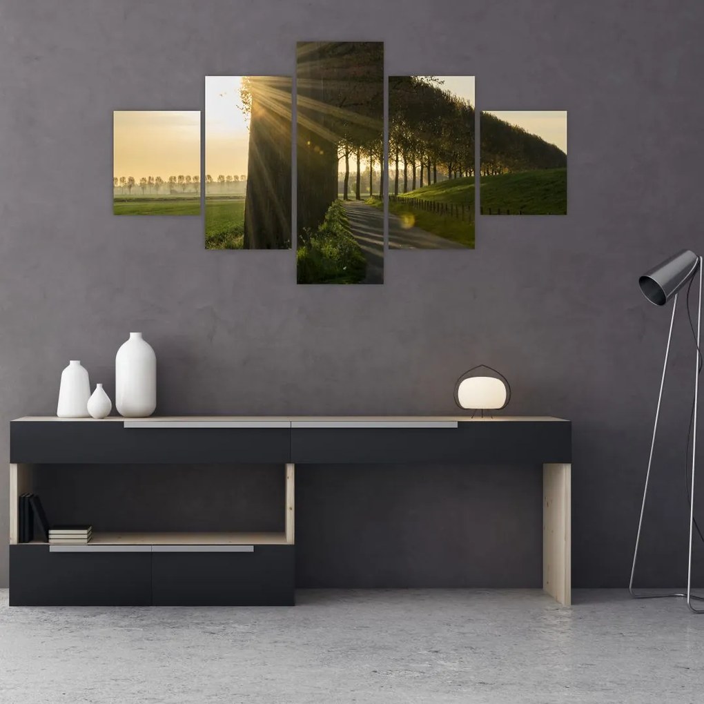 Obraz alei (125x70 cm)