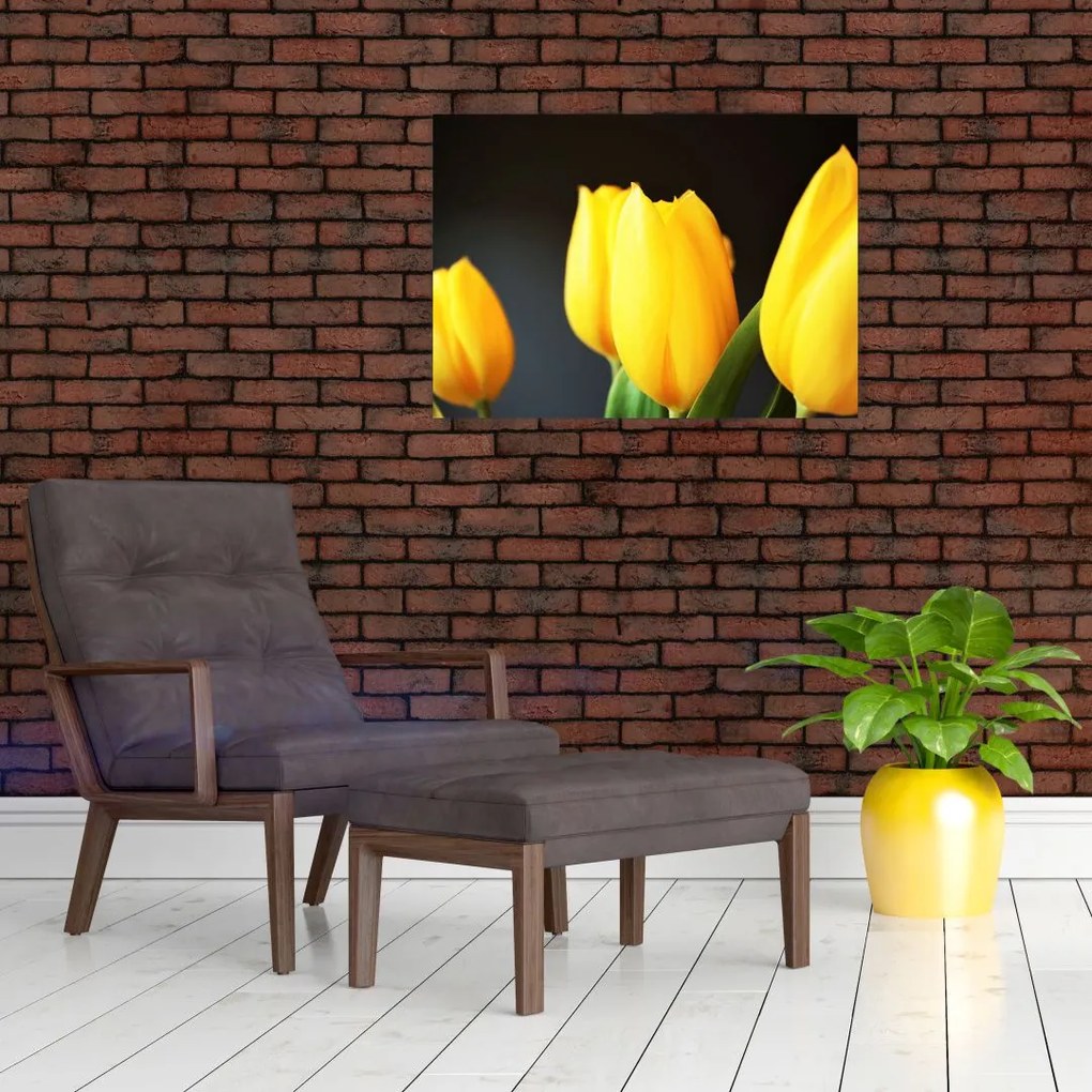 Obraz tulipanów (70x50 cm)
