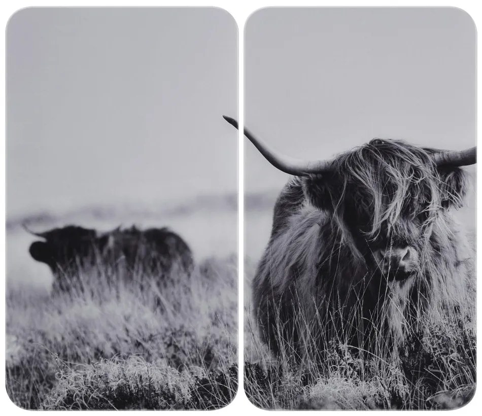 Płyty ochronne na kuchenkę ze szkła hartowanego zestaw 2 szt. 30x52 cm Universal Highland Cattle – Wenko