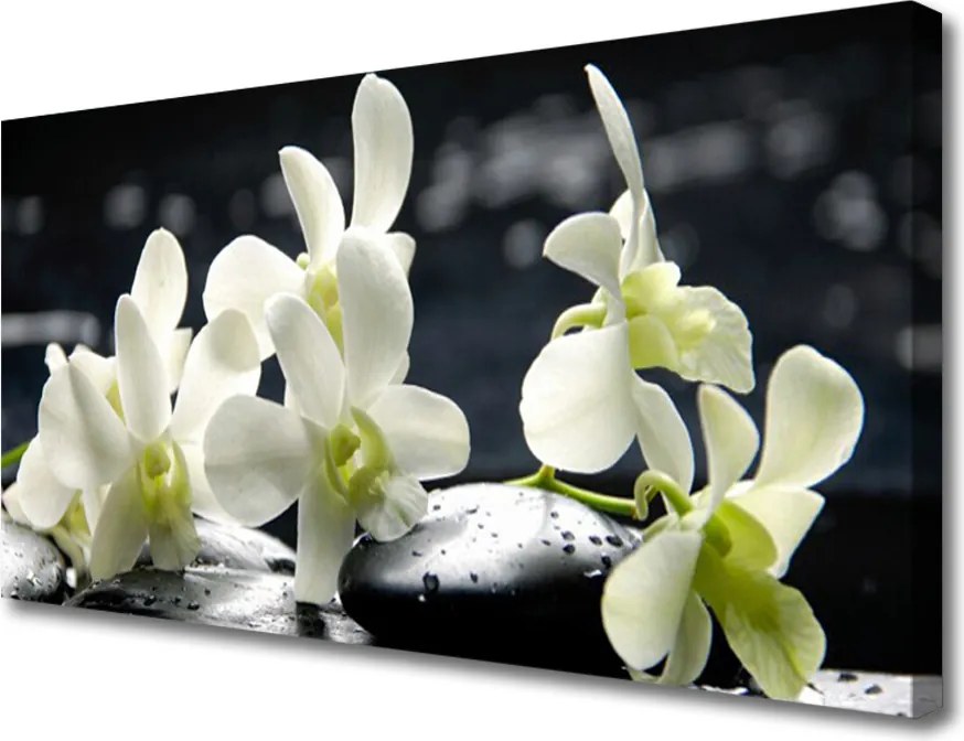 Obraz canvas Elegancja Egzotycznej Orchidei