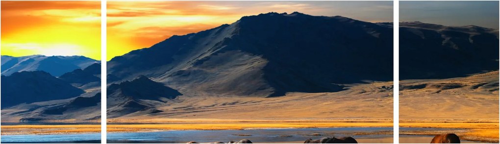 Obraz - Zasilanie (170x50 cm)
