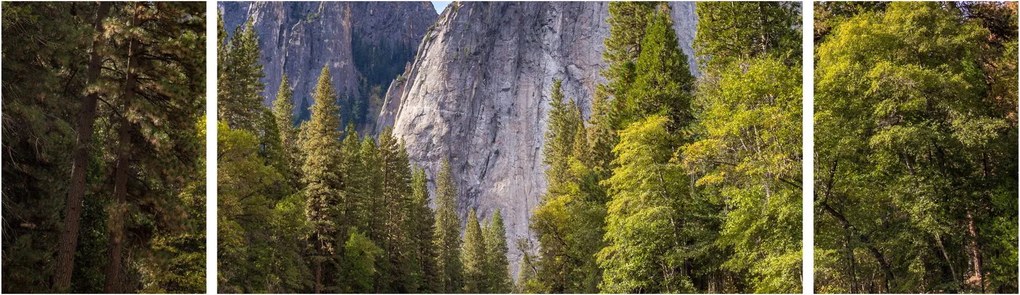Obraz - Pod Yosemite Rock (170x50 cm)