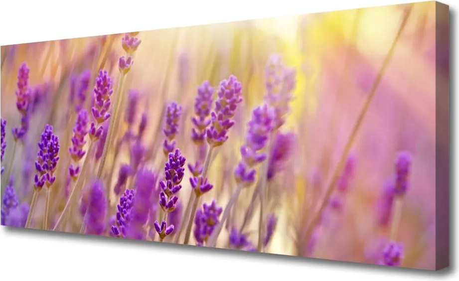 Obraz canvas Pełnia Letniego Rozkwitu