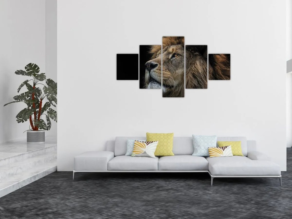 Obraz - Majestatyczny lew (125x70 cm)