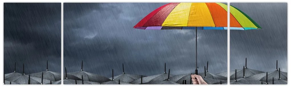 Obraz - Parasole (170x50 cm)