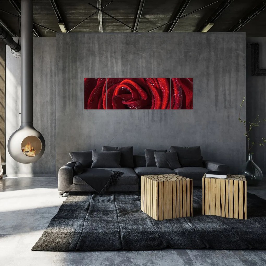 Obraz - Czerwona róża z kroplami rosy (170x50 cm)