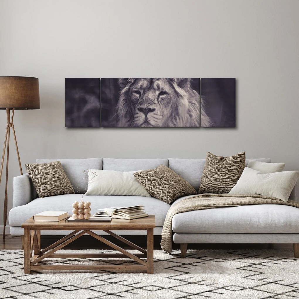 Obraz lwa (170x50 cm)