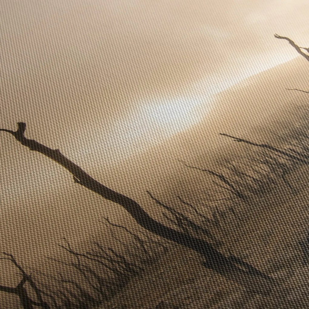 Obraz - Nagie drzewa (125x70 cm)