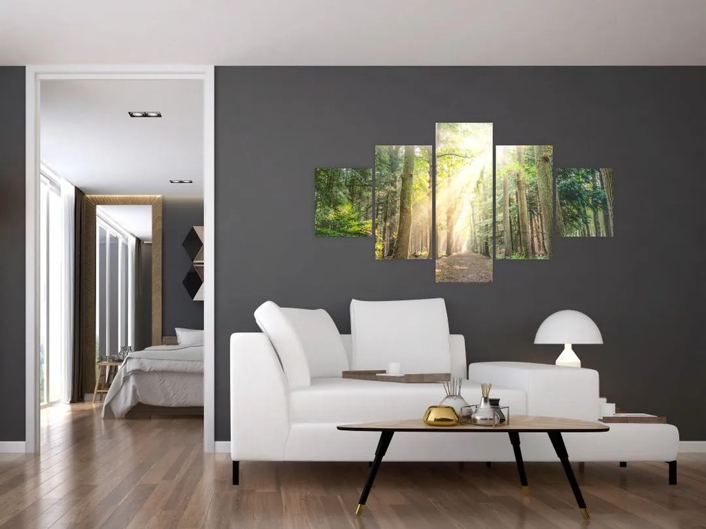 Obraz ścieżki w lesie (125x70 cm)
