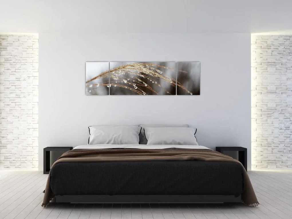 Obraz kropli na roślinie (170x50 cm)