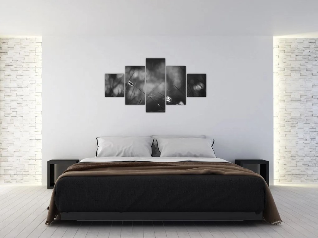 Obraz - Trawa łąkowa (125x70 cm)