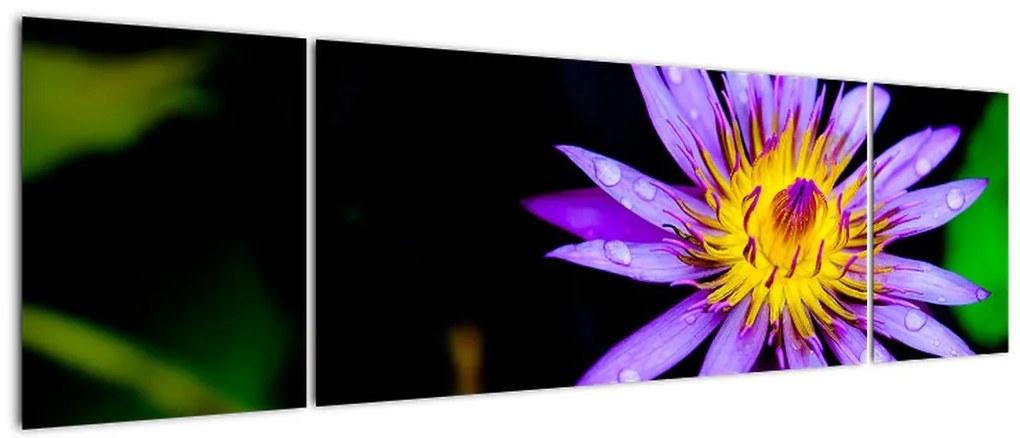 Obraz kwiatu (170x50 cm)