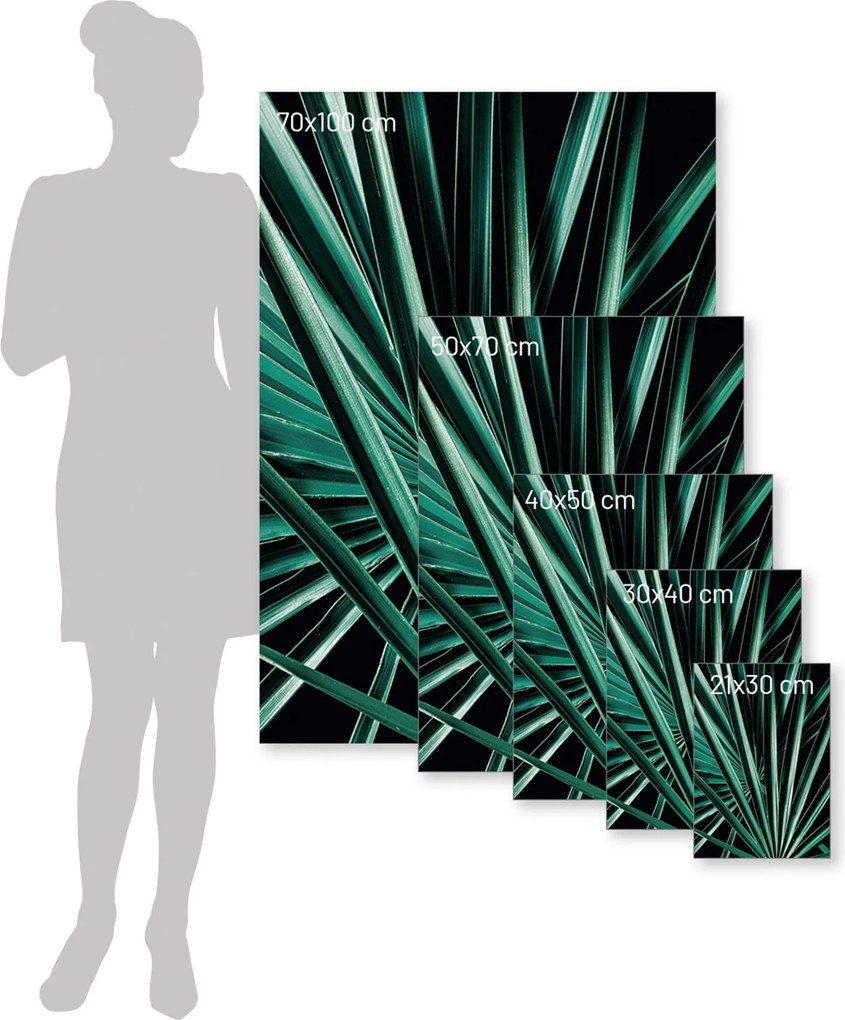 Plakat Dark Palm Tree