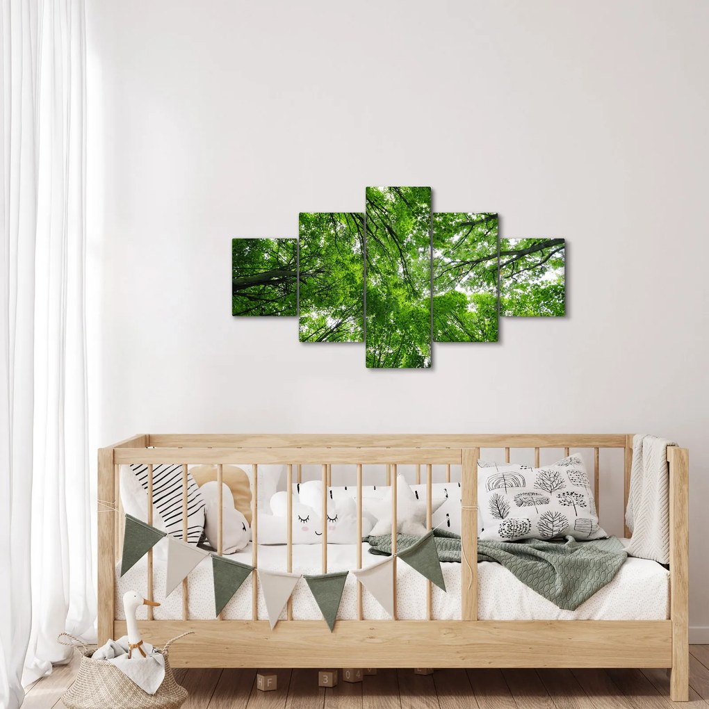 Obraz - Widok do korony drzewa (125x70 cm)