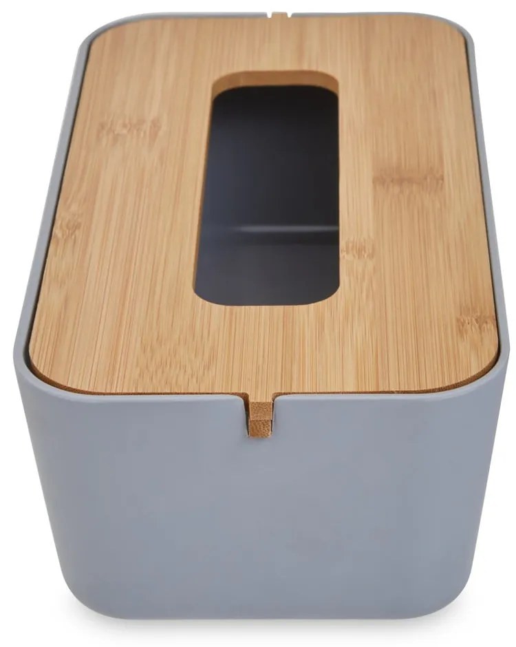Plastikowy pojemnik na chusteczki Canyon – Premier Housewares