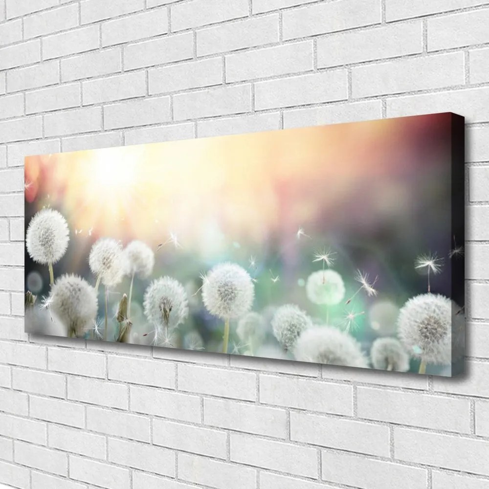 Obraz canvas Lekkość Polnych Dmuchawców