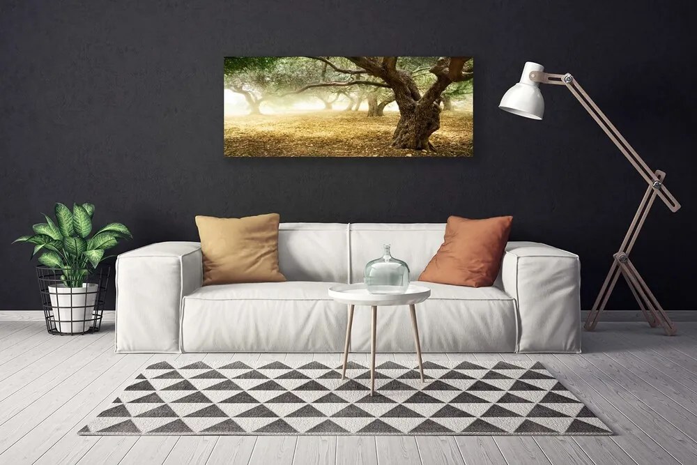 Obraz na płótnie Samotne Drzewo na Polanie