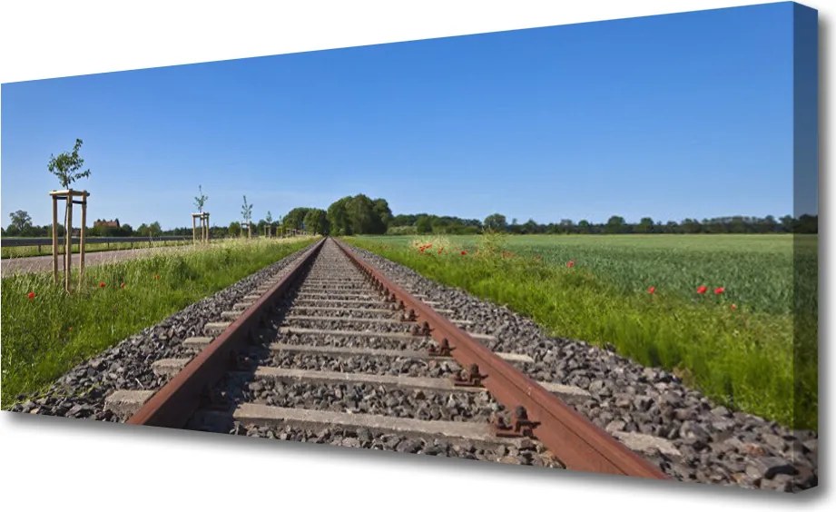 Obraz na płótnie Zapomniane Tory Kolejowe