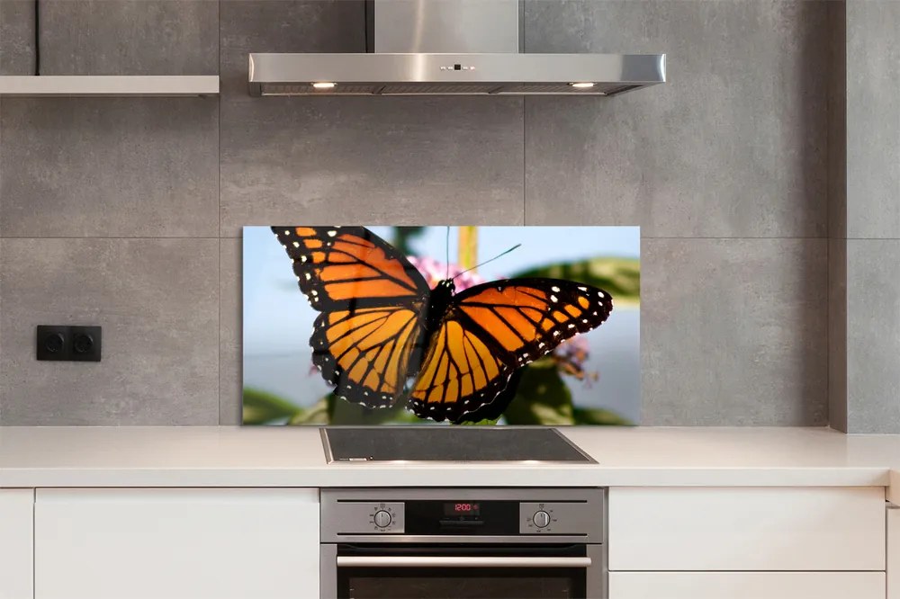 Panel nad Blat Kuchenny Portret Kolorowego Motyla