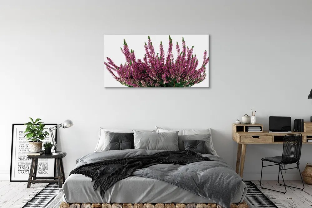 Duży obraz na płótnie Wrzosy