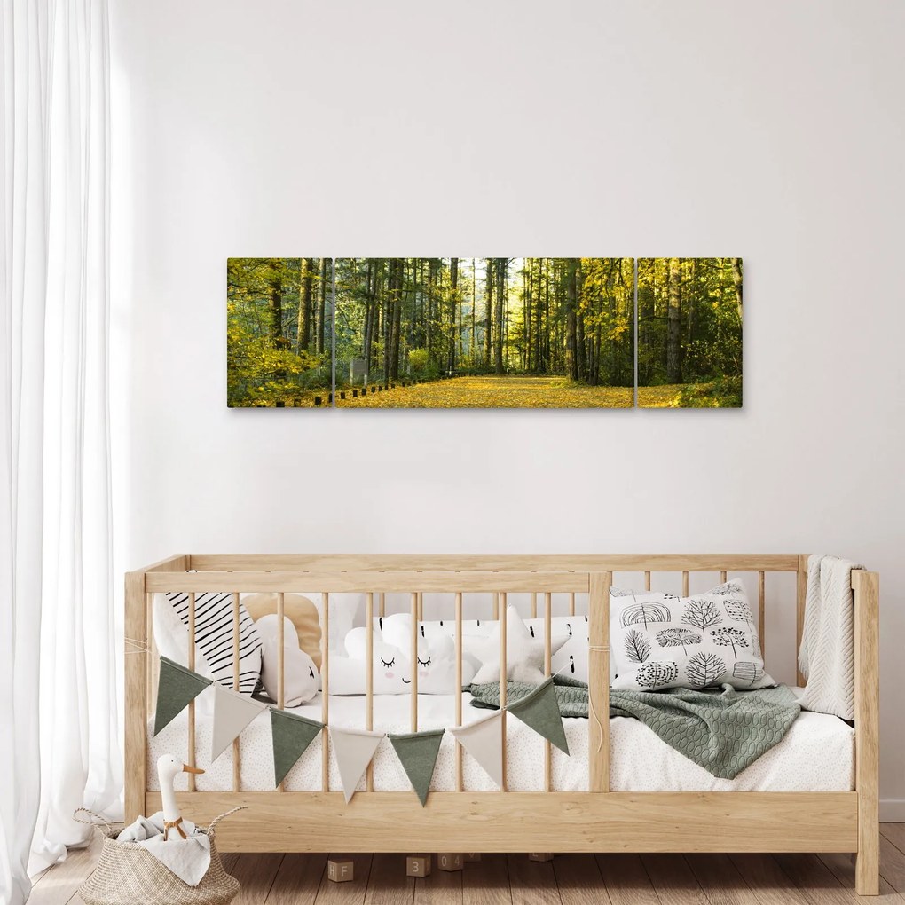 Obraz - las jesienią (170x50 cm)