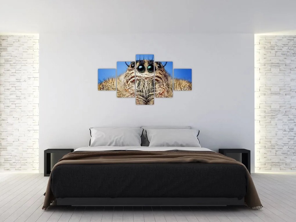 Obraz szczegółu pająka (125x70 cm)