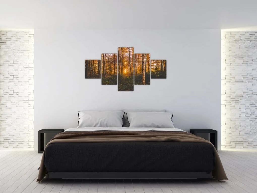 Obraz jesiennego lasu (125x70 cm)