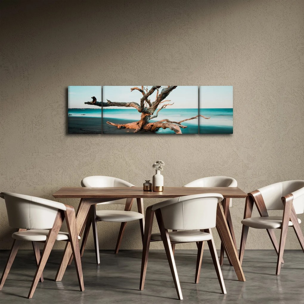 Obraz - Wyłowiono na plaży (170x50 cm)