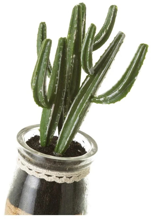 Sztuczne rośliny zestaw 4 szt. (wysokość 18 cm) Cactus – Casa Selección