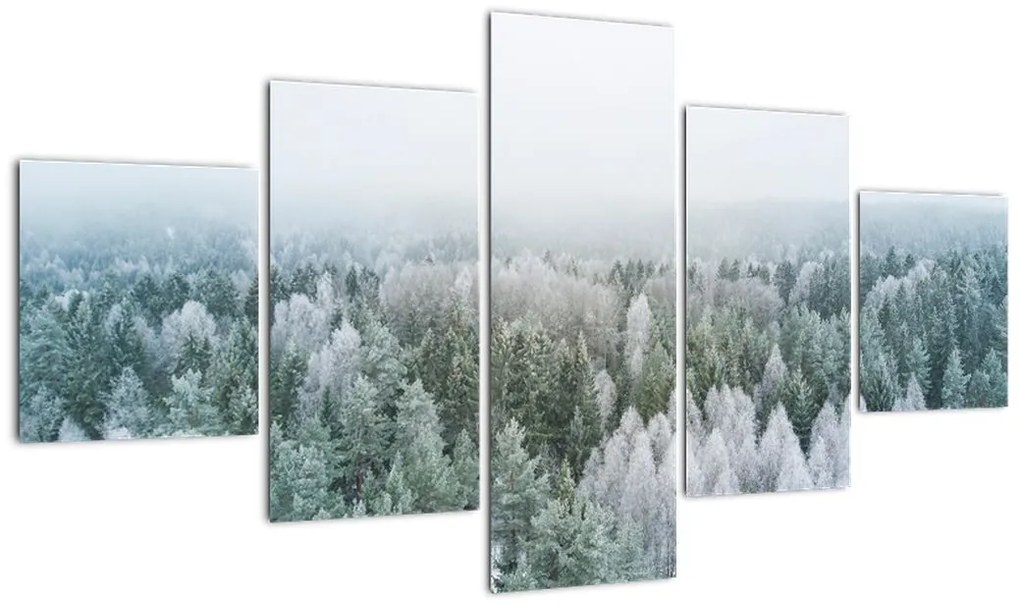 Obraz - Ośnieżone szczyty lasów (125x70 cm)