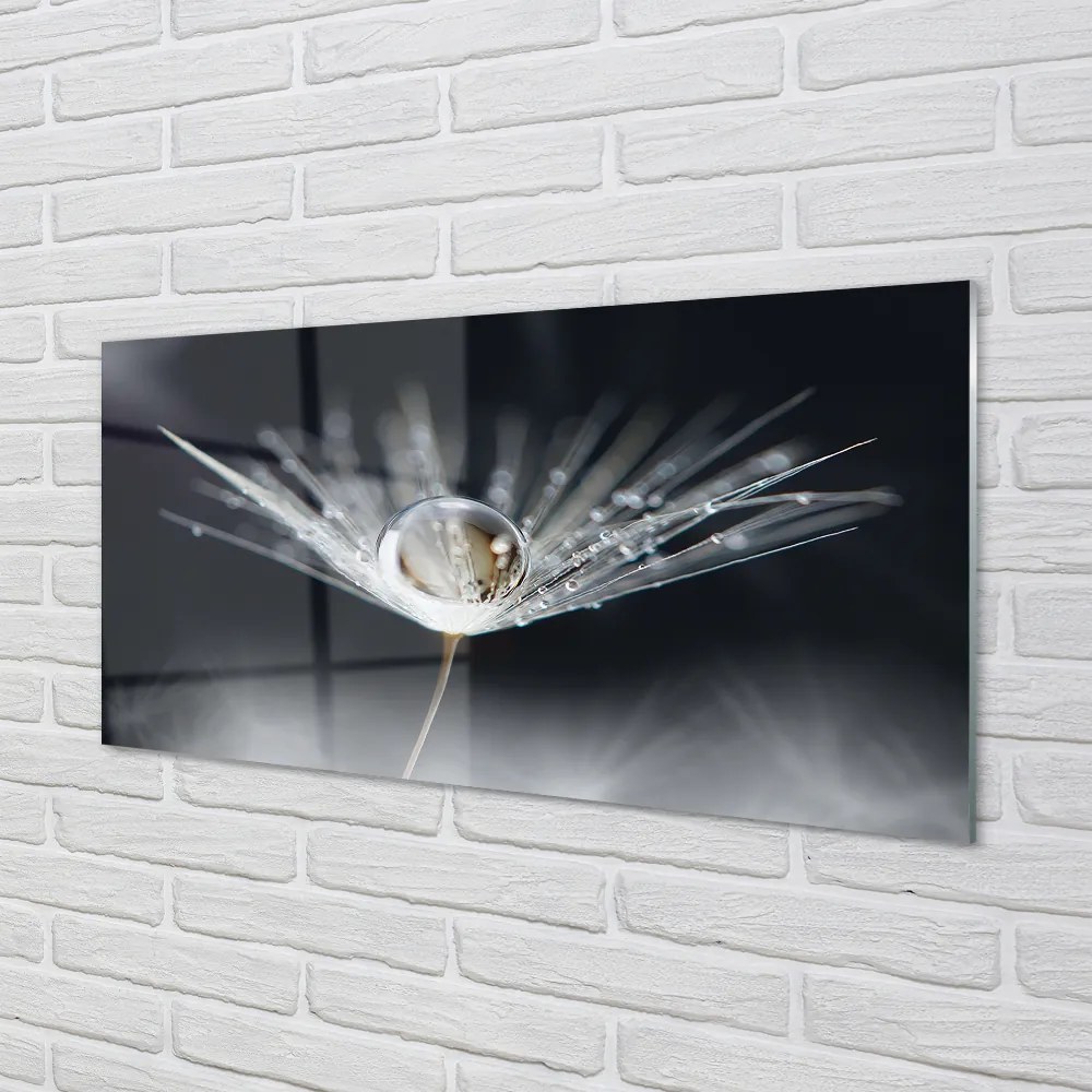 Panel nad Blat Kuchenny Mikroświat na Dmuchawcu